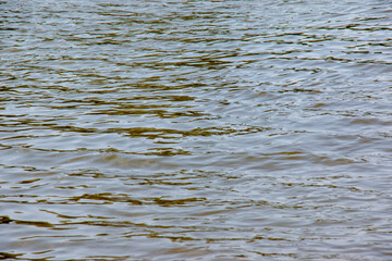 Background of the Dnieper River water surface with ripples. Natural color of river water. Water with small waves.