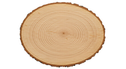 Isolated Wooden Slice