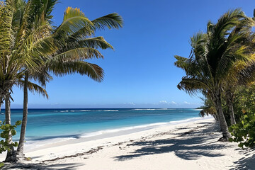 A serene beach scene with palm trees and white sand, overlooking the turquoise ocean under a clear blue sky