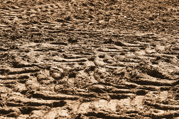 Heavy machinery tracks on dry soil. Industrial tire imprints in clay. Traces of excavator work. Construction ground surface pattern. Rough terrain at building site. Earth texture after grading.