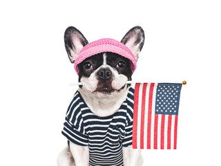 Cute puppy, sunhat and American Flag. Closeup, indoors. Studio shot. Congratulations for family, loved ones, relatives, friends and colleagues. Pet care concept