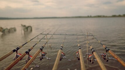 A group of fishing rods are floating in the water, with some of them being wooden. The rods are lined up in a row, with some of them being closer to the shore and others further out in the water