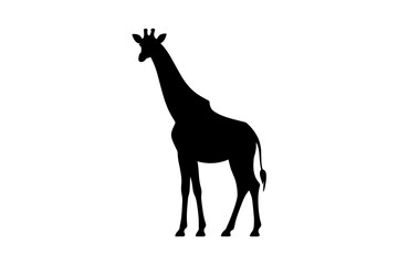 Fototapeta premium Giraffe silhouette african animal vector illustration