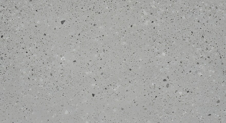 Gray Terrazzo Texture: Stone Aggregate Pattern for Flooring, Countertops & Design - Concrete Style Surface, Polished Cement Background