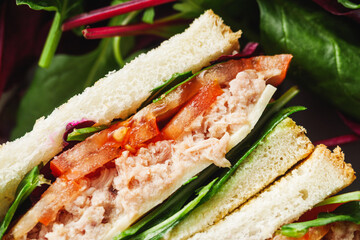 Fresh Tuna Sandwich with Veggies and Cheese Light and Tasty Meal for Any Time