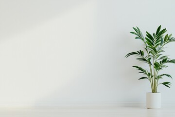 A tranquil indoor scene featuring afternoon light creating a soft, atmospheric vibe.