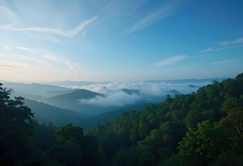 Obraz premium Tranquil Landscape with Midnight Blue to Forest Green Sky