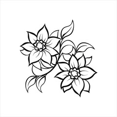 black and white flower