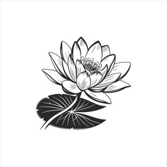 vector illustration of lotus flower