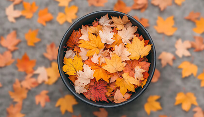 Autumn Leaves in Black Bowl.