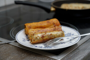 Delicious homemade spring rolls served on a decorative plate in a cozy kitchen setting