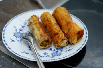 Delicious homemade spring rolls filled with savory ingredients on a decorative plate in a cozy kitchen setting