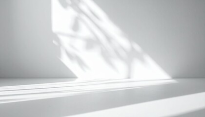 Pristine Smooth Canvas Background Bathed in Gentle Glow of Diffused Sunlight with Soft Shadows and Clean Aesthetic