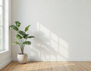 Fototapeta premium Sunlit Simplicity