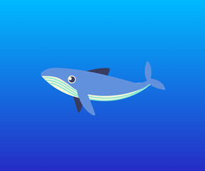 shark