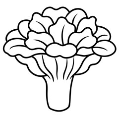 Maitake Mushroom Minimalist Line Art