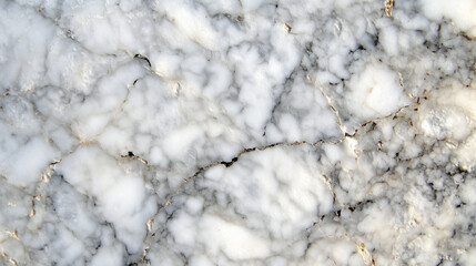 Obraz premium Detailed close-up of Carrara marble with faint grey veins.