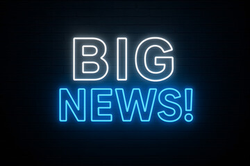 Big News! Neon Sign Announcement