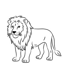 Obraz premium Lion wild animal illustration. Black and white outline Lion coloring book or page for children