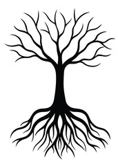 Tree Roots Silhouette on White Background