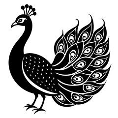 Fototapeta premium peacock feather vector illustration