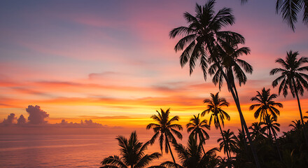 Cole&ccedil;&atilde;o: papel de parede com poente do sol no mar com belas palmeiras