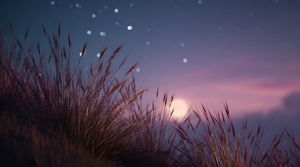 Moonrise during windy twilight, hills darkened in foreground, silver tones reflecting off grass tips