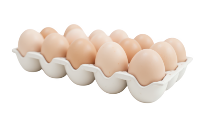 A dozen fresh white eggs nestled in carton, kitchen staple for nutritious meals