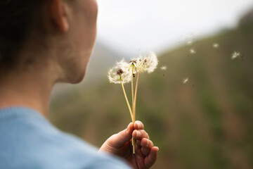 Unrecognizable young woman blowing dandelion seeds in green background, holding dandelion seed...