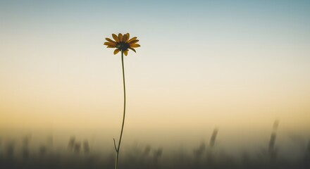Obraz premium Vertical minimal composition: one flower stem with soft horizon