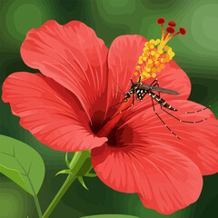 Fototapeta premium Mosquito Feeding on Red Hibiscus Flower Nectar in Tropical Garden