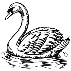 Wild Duck Gracefully by the Lake