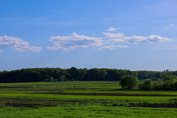 Green fields alternate with dark ploughed land under a blue sky with light white clouds. A forest is visible on the horizon.