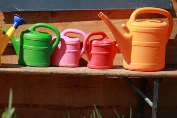 Naklejka premium A row of colorful garden watering cans sit on a wooden bench