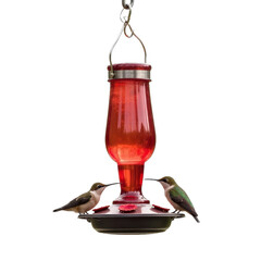 A hummingbird feeder with two hummings on it. 