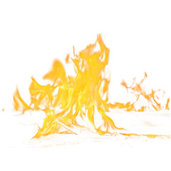 Fiery Inferno Burning Bright Gold Flames Against a Transparent Background Abstract Fire Photography Stock