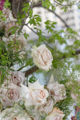 roses and spring foliage in an outdoor floral display