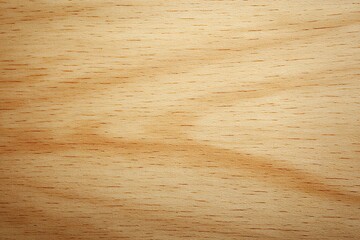 Naklejka premium Wood texture background