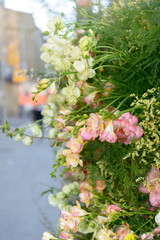 outdoor flower display in the city