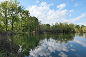 Beautiful spring landscape with larger fish pond surrounded by broadleaf trees, reflection of blue skies with clouds visible on calm water surface. Location western Slovakia, central Europe. 
