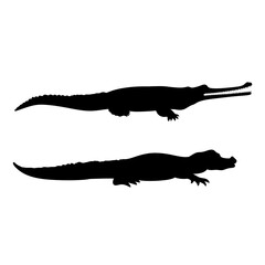 crocodile  silhouette
