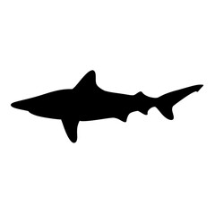 shark silhouette