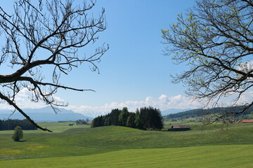 A beautiful, serene landscape with a large, open field