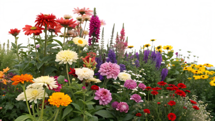 colorful flowers on white background PNG. AI GENERATED