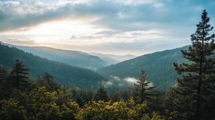 Panoramic vista of a mountain valley at sunrise, with misty peaks and lush evergreen forests.