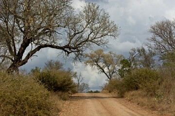 Scenic dirt road with overcast sky