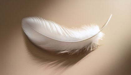 Obraz premium white feather casting a soft shadow on beige 
