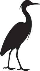 Fototapeta premium bird silhouette