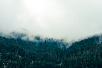 Fototapeta premium fog in the mountains