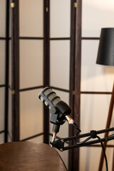 Microphone setup for a podcast interview in a cozy recording space